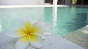 Relaxare la SPA cu apă termală: Therme București