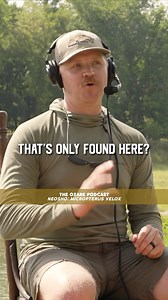 27 reactions | NEOSHO BASS: How can we continue to raise awareness about the Neosho Bass?? #smallmouth #neoshobass #micropterusvelox #theozarks #podcast #northwestarkansas #southernmissouri #easternoklahoma #southeastkansas #arkansas #missouri #oklahoma #kansas | The Ozark Podcast | Facebook