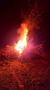 Burning Debris Pile! #burning #burn #fire #brush #debris #terrellspivey #fypシ゚ #foryou #fyp #viralvideo #viralfbvideo #FBVIDEO | Terrell Spivey