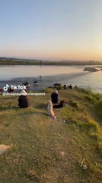 #Dovan #Dovan_sunset_view_point #sauraha_chitwan🇳🇵 #best_sunset_view_point #Dovan_Sauraha_badrahani