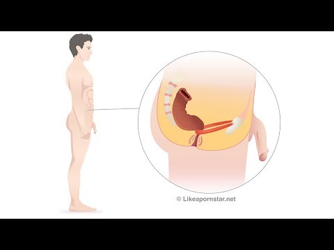 How To Bottom Without Pain--includes jaw-dropping illustrations!