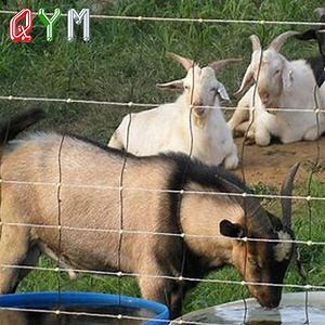 [Hot Item] Electric Farm Fence Cattle Sheep Field Fence Wholesale