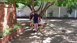 An update on the earlier video of a very thirsty Koala - “In 44 degree heat this friendly little koala had wandered into town to try and find some water and a nice cool place to rest. He was suffering dehydration and had blisters on his feet from the scorching hot ground. Local wildlife carers were called and they came to rescue and rehabilitate the injured koala.” 🐨☀️💧🇦🇺 Via - ViralHog | Only In Australia