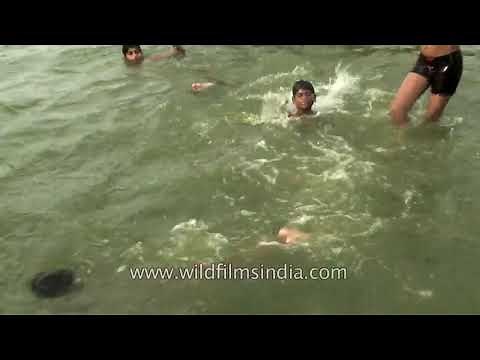 47 degrees Celcius at India Gate, and boys play and swim in the ponds in the New Delhi summer heat