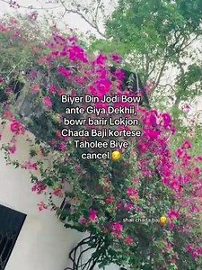 Chada Baji Bondo 🐸❌ #unfrezzmyaccount #musicplayer #foryou #shorts #tiktok #fypシ゚viral