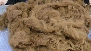 How To Felt With Raw Alpaca Fleece – Felting