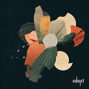 Subsist records on Reels