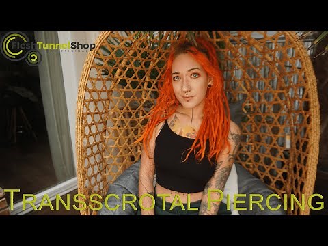 Transscrotal Piercing | Male Genital Piercing | Men's Intimate Jewelry | Costs, Pain, Jewelry