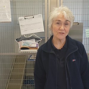 It's Volunteers Week which gives us the perfect opportunity to shout about our fantastic team of dedicated volunteers! Here we speak with Helen, Mike and Chris about their own Blue Cross experiences. Interested in volunteering with us? 👉 https://bit.ly/2WE8oe8 | Blue Cross UK