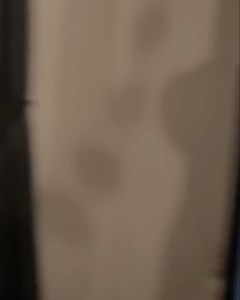 Charlie Sloth on Reels