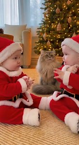 3.4M views · 76K reactions | An adorable and funny moment where two...