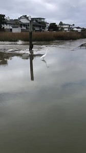 18 reactions | Botany Bay Ecotours on Reels | Facebook