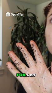 ✨ Scalp scrub magic! 🌿 Watch as I treat my scalp to a DIY scrub made with coconut oil, coffee grounds, and raw sugar for a refreshing cleanse. Stay tuned for the next steps in my Ultimate 7-Step Hair Self-Care Routine! 💆‍♀️✨ #HairCare #DIYBeauty #selfcare | Hannah Forcier