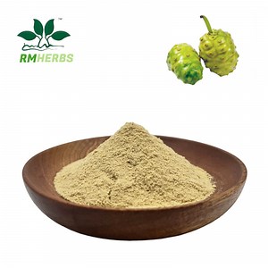 [Hot Item] Manufacturer Reliably Supplies 100% Natural Noni Enzyme Powder/ Noni Fruit Enzyme Powder