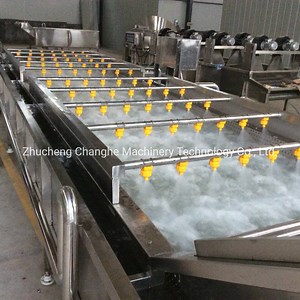 [Hot Item] Fruit Washing Machine Vegetable Bubble Washer Fruit and Vegetable Cleaning Machine