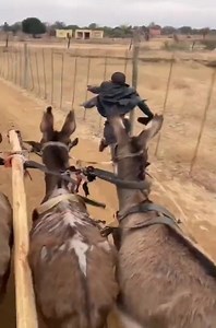 6.5K views · 143 reactions | Iyoo藍 | Mzansi Stories | Facebook