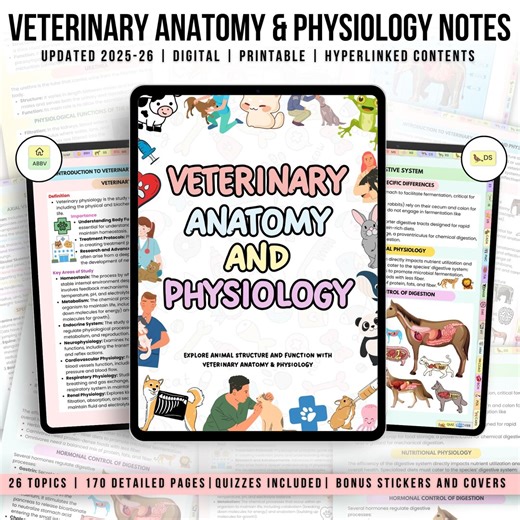 168  Veterinary Anatomy & Physiology Bundle With Hyperlinked, Anatomy Study Guide, Vet Nursing, Medical Notes, Veterinary Technician Study - Etsy