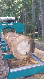 Bandsaw milling!! mainstream milling presents the HM-130 by woodland Mills. @ maine_stream_milling #discoverthewoodland #woodlandmills #bluehealersoflnstagram #HM130MAX #whiteceader #beetlekil #sustainable #reclaimedwood #portablesawmill #homeimprovement #sawmill #bandsaw #woodworking #sawyer #teamwoodland #iveedgeslab #iveedgetable #Miveedgefurniture #dowork #supportsmallbusinessess | Woodland Mills