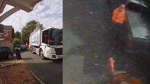 753K views · 1.1K reactions | On a normal collection day recently,...