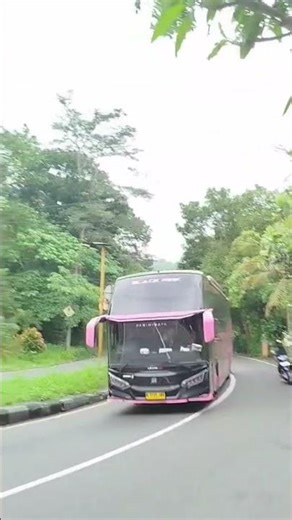 bus u trans terbaru #shots #telolet