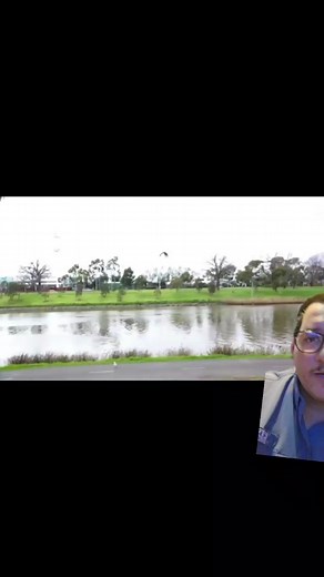 Hawk throws snake at woman then attack #hawkthrowssnake #fyp #hawk #snake #Texas #weird #nature #educational