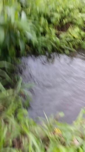 Mancing bareng Mpuss .. #rells #lunganyendal | Lunga Nyendal