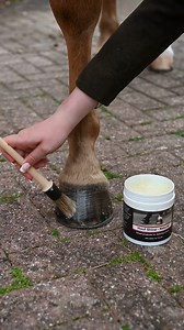 7.6K views · 34 reactions | How can I look after my horses hooves? 樂...