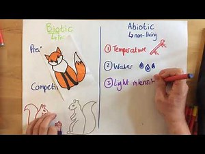 Biotic and Abiotic Factors - p67