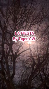 La Fiesta #frasesdeltigre #TigerMexicanArt | TigerMexicanArt | Facebook
