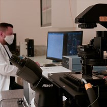 Test di protezione enzimatica migliorato per studiare l'internalizzazione dello Staphylococcus aureus e l'efficacia intracellulare dei composti antimicrobici