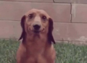 Tag someone who always asks if they can have the last pappadum? 😐 | Miss India