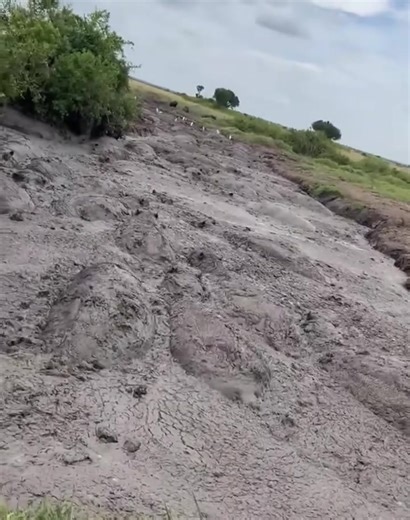 The Spa of the Wild Mud-Bathing with Hippos | InforNovelas | Facebook