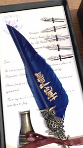 1K views · 25 reactions | El regalo perfecto en esta navidad  ¡Lo encuentras en Panda! Mira nuestros hermosos juegos de Pluma + Tintero de Harry Potter. ⚡️ | PANDA Gift Shop | Facebook