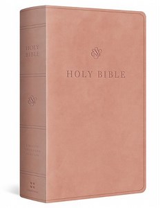 ESV Giant Print Personal Size Bible--soft leather-look, blush rose