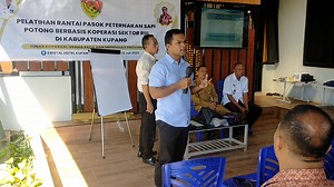 POS-KUPANG.COM - Pelatihan Rantai Pasok Perternakan Sapi Potong Berbasis Koperasi Sektor Riil Di Kabupaten Kupang Bersama Koperasi Merah Putih Penfui Timur. Jumat, 11 Juli 2025 Bagian 18 | POS-KUPANG.COM