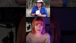 King Cobra bite: what to do immediately