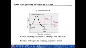 Energia Libre De Gibbs