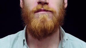 Merry Christmas from Kanzi! | Kanzi | Facebook