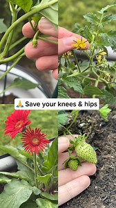 Epic raised beds are where healthy soil meets beautiful design. Made to outlast wood, outshine plastic, and outgrow your expectations—these beds turn empty space into a thriving garden, season after season. | Epic Gardening