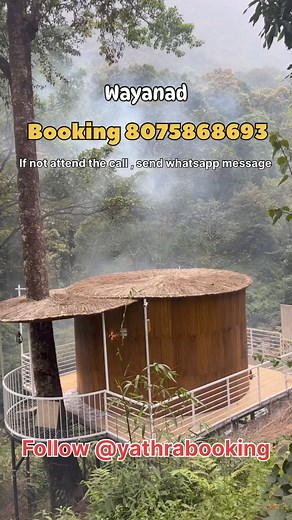 Wayanad resorts #resort #wayanad #wayanadresort #wayanadtourism #wayanadhomestay #poolvilla #treehouse | Yathra_lahari_