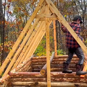 55K views · 1.4K reactions | Kid Builds Log House By Hand Alone in the Woods. | Adventures Bushcraft | Facebook