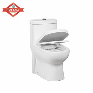 [Hot Item] Fluor Canadian Standard One Piece Ceramic Water Closet Toilet