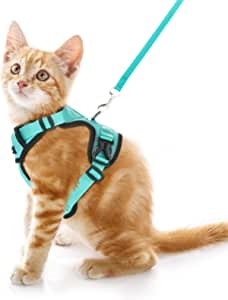 Pet Supplies : CatRomance Cat Harness Escape Proof, Breathable Mesh Cat Walking Harness, Adjustable Cat Harness and Leash Set with Reflective Strips (XS, Green) : Amazon.com