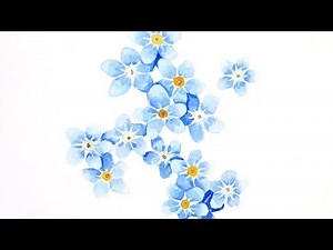 forget-me-not / watercolour time lapse
