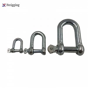 [Hot Item] Hardware Rigging 304/316 Stainless Steel D Shackle with Screw Pin