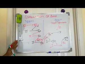 coagulation of blood