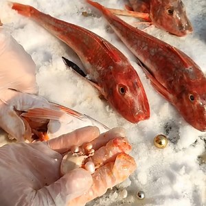 2.9M views · 10K reactions | Very clean pebble beach | Pitogo High School Official | Facebook