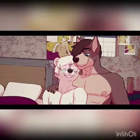 Gay furry compilation