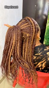 190K views · 1.9K reactions | A quick step by step tutorial on how I make kinky braid | hapelscent | Facebook