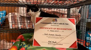 Thank you Community Cats United, Inc. for recognizing the hard work and dedicated efforts our Community Cats Program gives to the feline friends of the Chattahoochee Valley, ensuring they receive the best love and care! Our Community Cats Program assists in the humane trapping of community cats, followed by spay/neuter surgery, vaccinations, and the return of the cats to their communities. Over time, their numbers are reduced. #communitycats #pawshumanesociety | Paws Humane Society